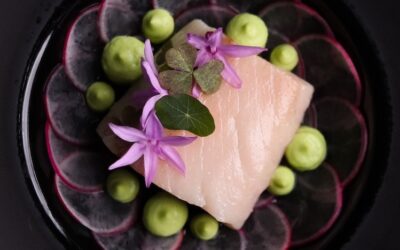 Olive Oil-poached Dutch Yellowtail